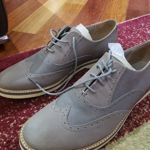Mens Shoe Lacoste brand new